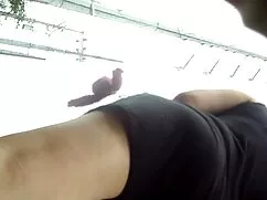 ফক্স তাঁর মাংস প্রতি ...