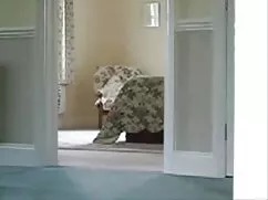 স্বামী সেক্স ভিডিও ফ ...