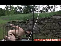 বাড়ীতে এইচডি বিএফ স ...